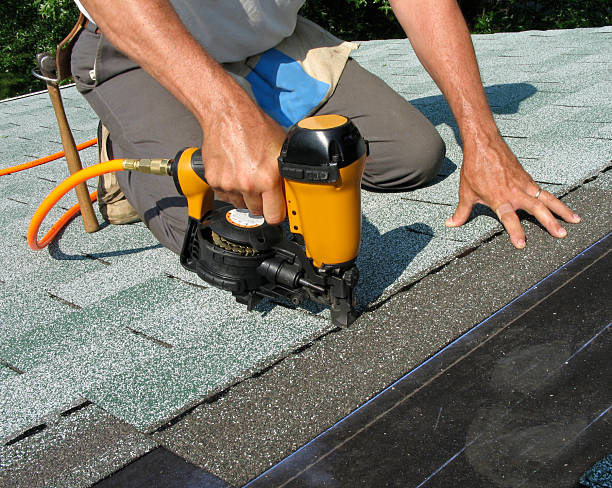 Best Metal Roofing Contractor  in Ferndale, WA