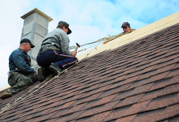 Quick and Trustworthy Emergency Roof Repair Services in Ferndale, WA